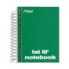 Mead Fat Lil' Wirebound Notebook